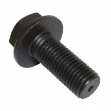 CRANKSHAFT BOLT
