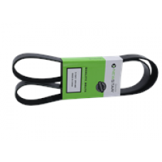 SERPENTINE BELT, 8 RIB