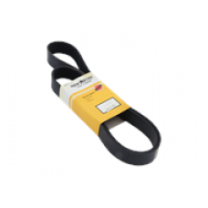 SERPENTINE BELT, 10 RIB