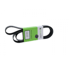 SERPENTINE BELT, 8 RIB