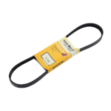 SERPENTINE BELT, 5 RIB