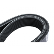 SERPENTINE BELT, 8 RIB