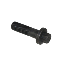 FLANGE SCREW