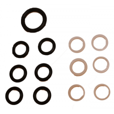 INJECTOR SEAL AND RING KIT