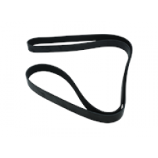 SERPENTINE BELT, 8 RIB