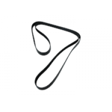 SERPENTINE BELT, 8 RIB