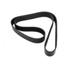 SERPENTINE BELT, 10 RIB