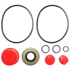 PUMP REPAIR KIT (V-20)